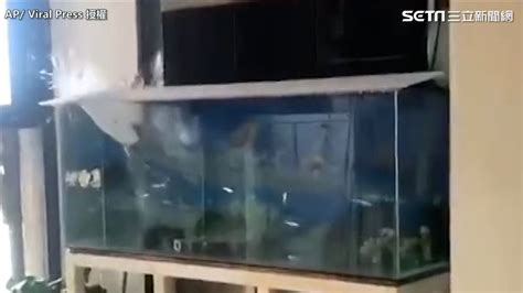 魚缸 地震